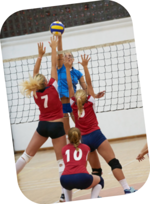 psv-sportarten-volleyball-kontakt